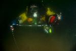 Dive Image Twelve