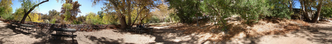 The Picnic Area