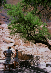 Visitors on the trail at Montezuma Castle Visitors on the trail at Montezuma Castle