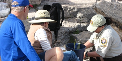 Volunteer Rosemary with visitors