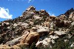 A view of Caruthers Canyon