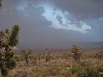 Lightning storm over Cima