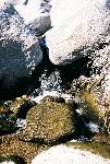 Rock Springs