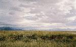Zzyzx Road