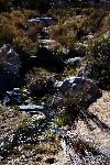 Cottonwood Wash