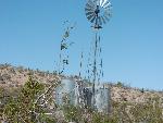 AAOM Spring windmill