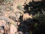 Basalt Spring