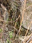 Source of Basalt Spring