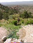 Beck Spring outflow