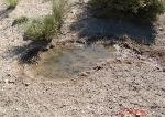 Black Diamond Spring