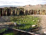 Corral at Bullock Spring