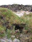Cane Spring (east)