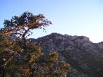 Clark Mountain 1