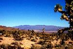 Ivanpah Valley from Ivanpah Mountains