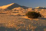 Kelso Dunes