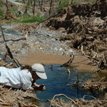 photo of water sampling