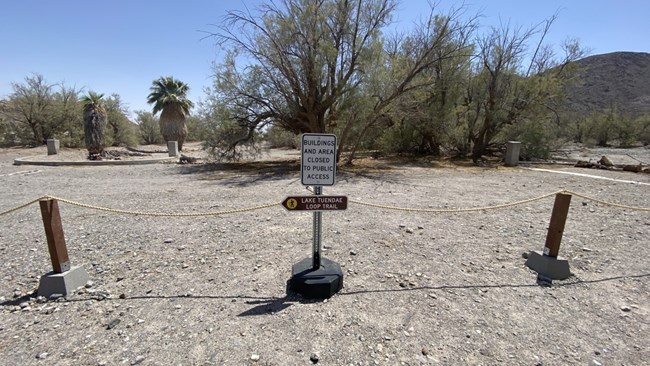 trail signs at Zzyzx