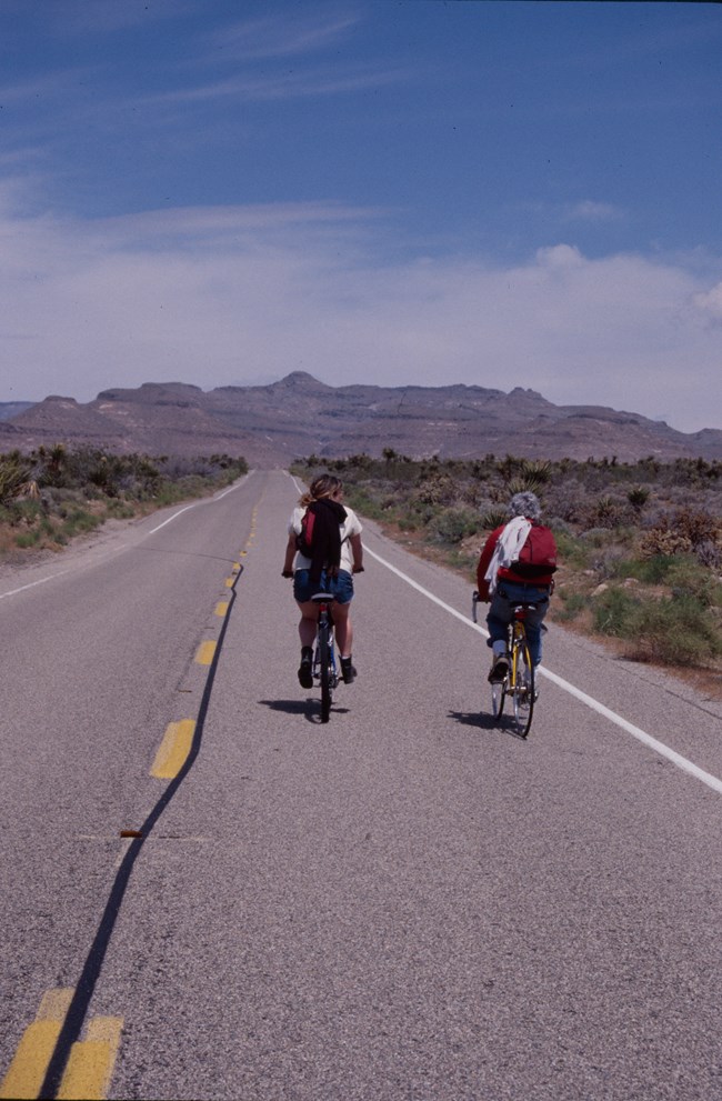 Cyclist on a desert road lined with creosote heading towards mountains