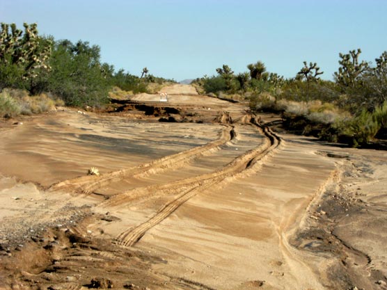 Damage to Ivanpah Road from thunderstorm-related flooding.