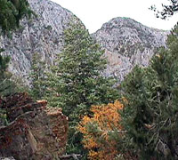 photo of Clark Mountain