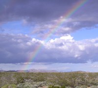photo of rainbow over the desert