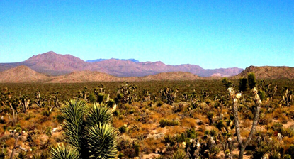 Clear skies above the Ivanpah Mountains.