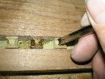 7) Dentil detailing by hand with a gouge