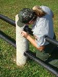PA 7) Painting railings