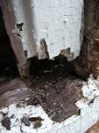 Thomas Farm Window and Door Repairs