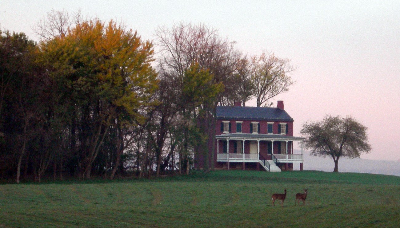 Deer stand in front of the Worthington House as the sun rises behind it.