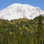 Sister Mountain Curriculum: Ecosystems