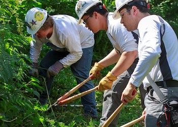 Three young men wearing hard hats and work gloves lean over clipping vegetation.