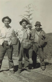 Historic photo of Muckleshoot men with baskets used for hucckleberry collecting.