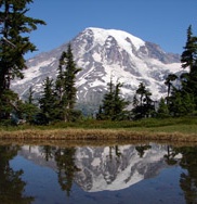 Mount Rainier reflected in a sub-alpine lake. 
