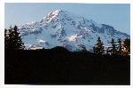 A View from Longmire 1