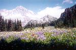 The Mountain from Indian Henrys Hunting Grounds
