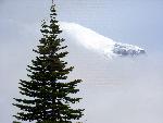 Elusive Mount Rainier