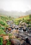 Edith Creek in Autumn
