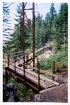Tahoma Creek Suspension Bridge