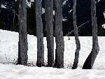 Trail to Snow Lake