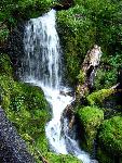 Waterfall on the Tahoma Creek Trail