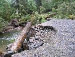 Culverts at Carbon