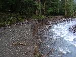 Scoured Carbon River Road