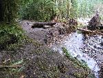Washed Out Road at Carbon