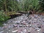 Damage on Carbon River Road Near Ipsut Creek