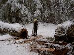 Trail Crew Works on Carbon River Road