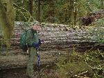 Superintendent Inspects Storm Damage