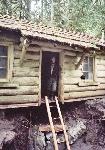 Ranger Inspects Ipsut Creek Cabin