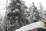 Overhead Power Lines at Kautz Creek