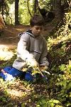 Trail Brushing